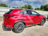 2026 Lexus NX фото