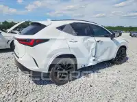 2026 Lexus NX фото