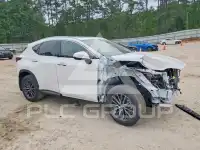 2026 Lexus NX250 фото