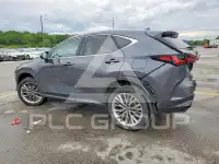 2026 Lexus NX250 фото