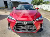 2026 Lexus NX фото