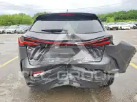 2026 Lexus NX250 фото