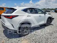 2026 Lexus NX фото