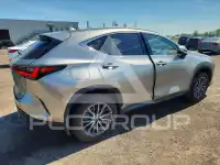 2026 Lexus NX фото