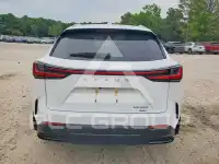 2026 Lexus NX250 фото