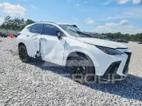 2026 Lexus NX фото