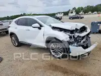 2026 Lexus NX фото