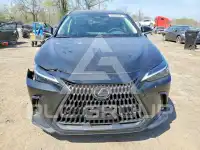2026 Lexus  photo