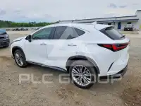 2026 Lexus NX фото