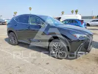 2026 Lexus NX photo
