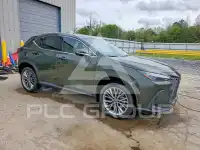 2026 Lexus  photo