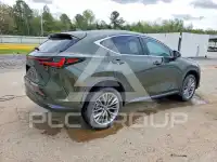 2026 Lexus  photo