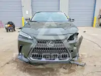 2026 Lexus  photo