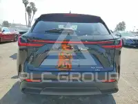 2026 Lexus NX photo