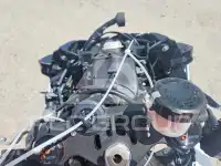 2026 Yamaha YZF1000 фото