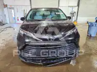 2026 Toyota SIENNA фото