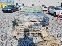 2026 Toyota CAMRY фото