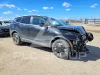 2026 KIA Sportage фото
