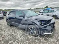 2026 KIA Niro фото