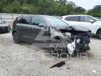 2026 KIA Niro photo