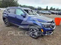 2026 KIA Seltos photo