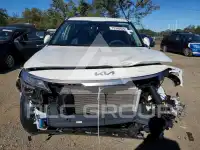 2026 KIA Seltos photo