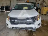 2026 KIA Seltos photo