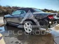 2026 Ford MUSTANG фото