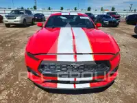 2026 Ford MUSTANG фото