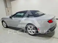 2026 Ford MUSTANG фото