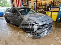 2026 Hyundai Elantra photo