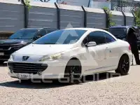 2007 Peugeot 307