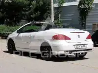 2007 Peugeot 307