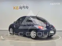2009 Volkswagen BEETLE