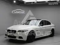 2010 BMW 523