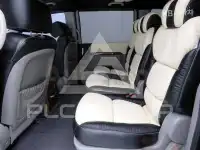 2010 KIA Carnival