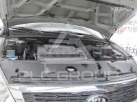 2013 KIA Carnival