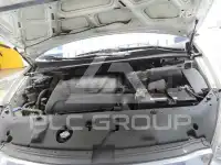 2013 KIA Carnival