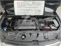 2013 KIA Carnival