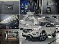 2014 Hyundai Maxcruz