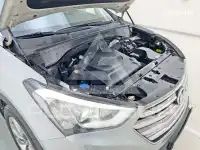 2014 Hyundai Maxcruz