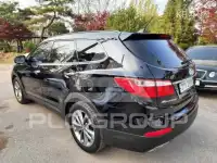 2014 Hyundai Maxcruz