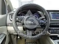2015 KIA Carnival
