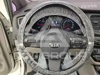2015 KIA Carnival
