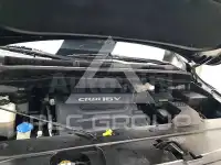 2016 KIA Carnival