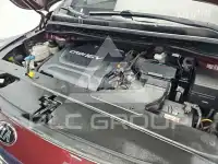 2017 KIA Carnival