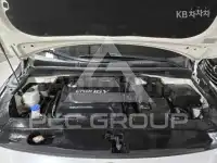 2017 KIA Carnival