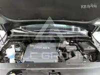 2017 KIA Carnival