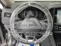 2017 Renault Qm6
