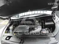 2018 KIA Carnival